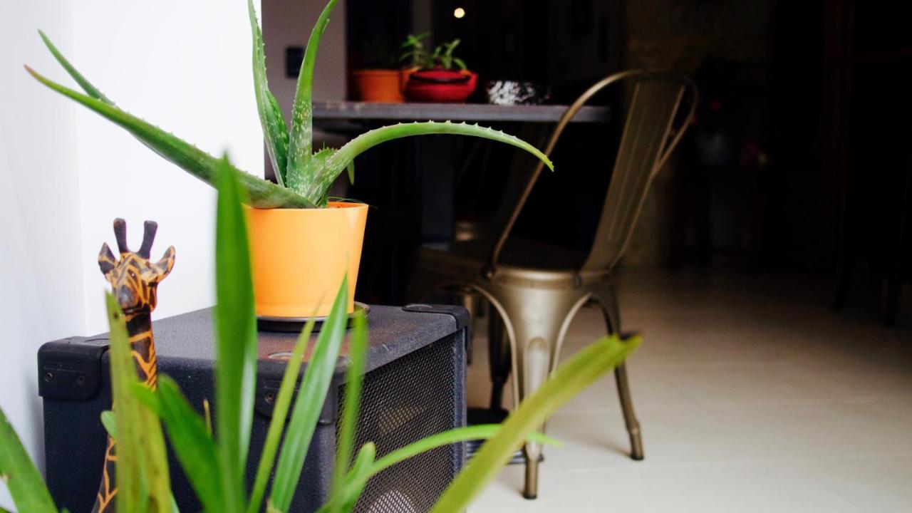 Boreal Porto Gaia - Patio & Pool ヴィラ・ノヴァ・デ・ガイア エクステリア 写真